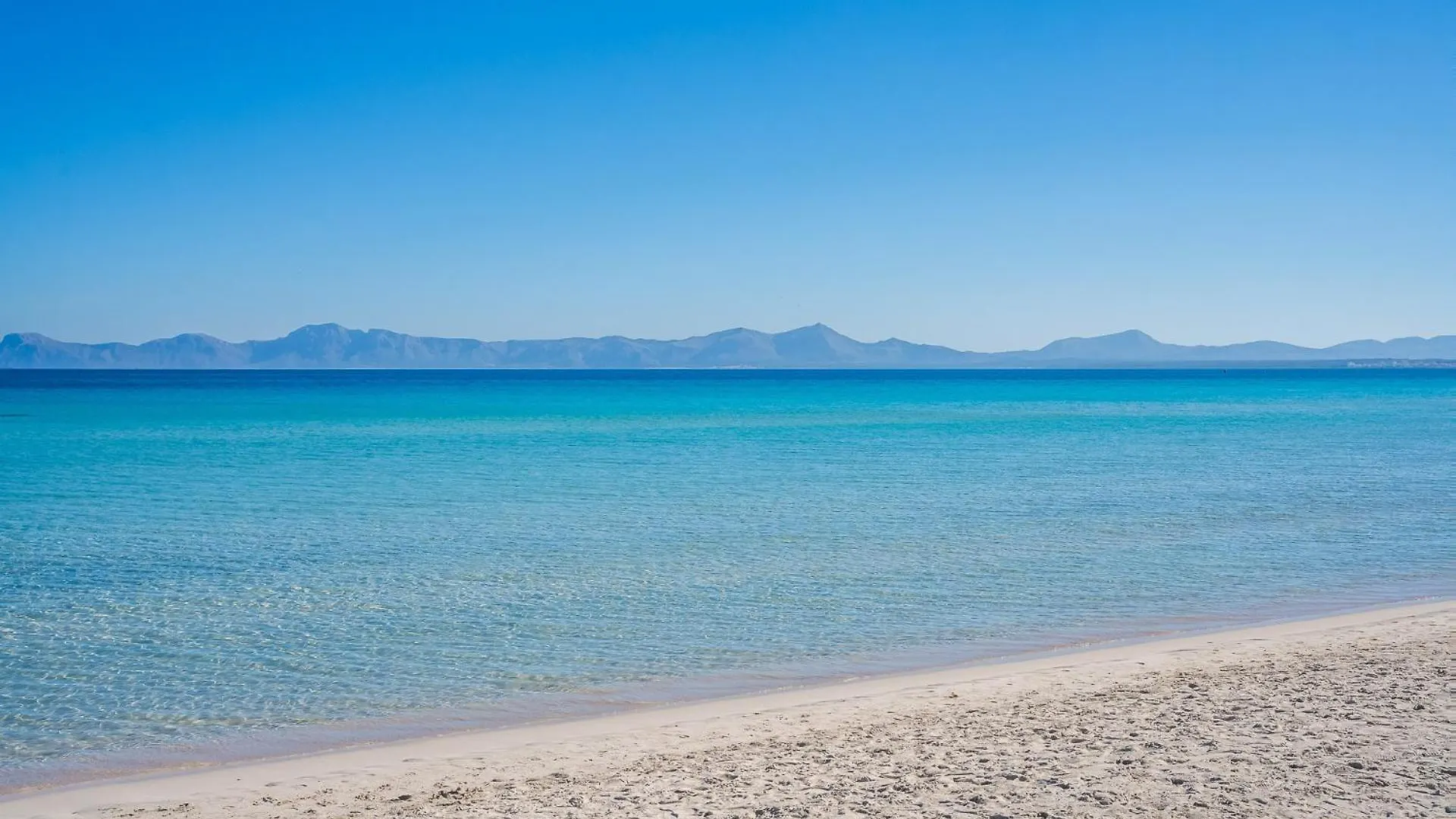 Apartamento Playa Primera Planta 2-3 Alcudia  Spain